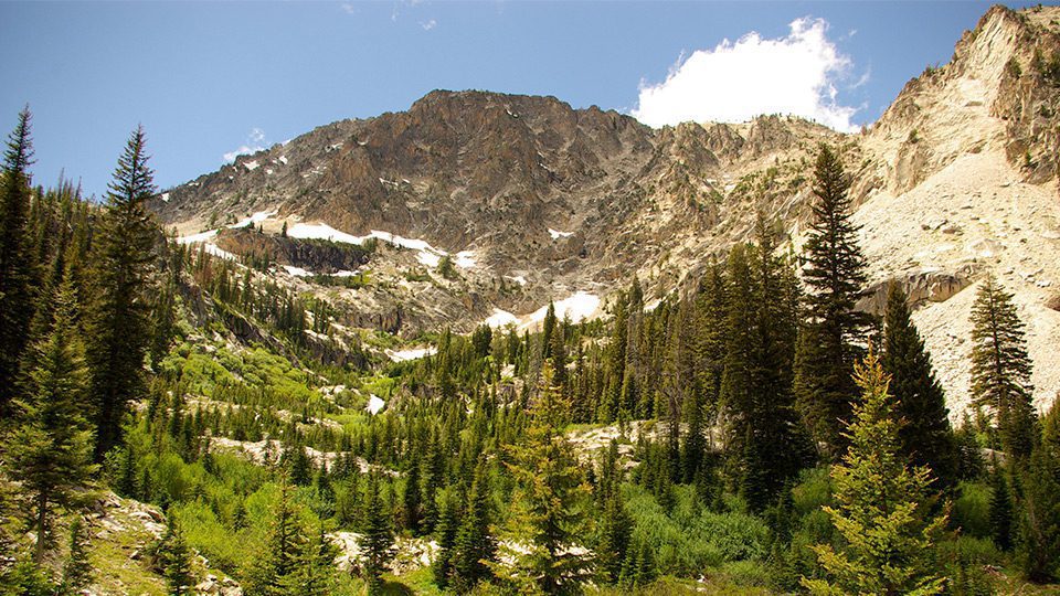 Mountain scene utah