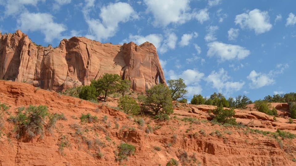 NRCS Arizona State