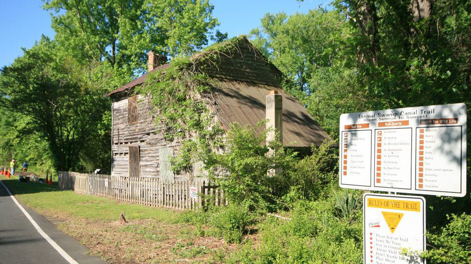 Virginia Dismal Swamp