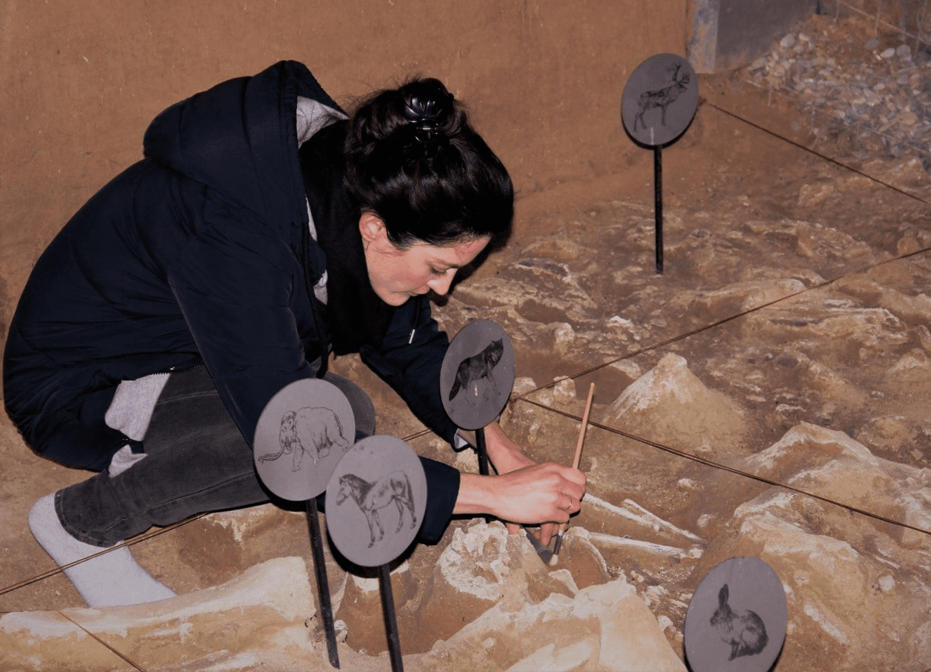 Dr. Angela Perri, Regional Vice President (International) at Chronicle Heritage and foremost expert on human-canine interactions, uncovers a dire wolf skeleton.