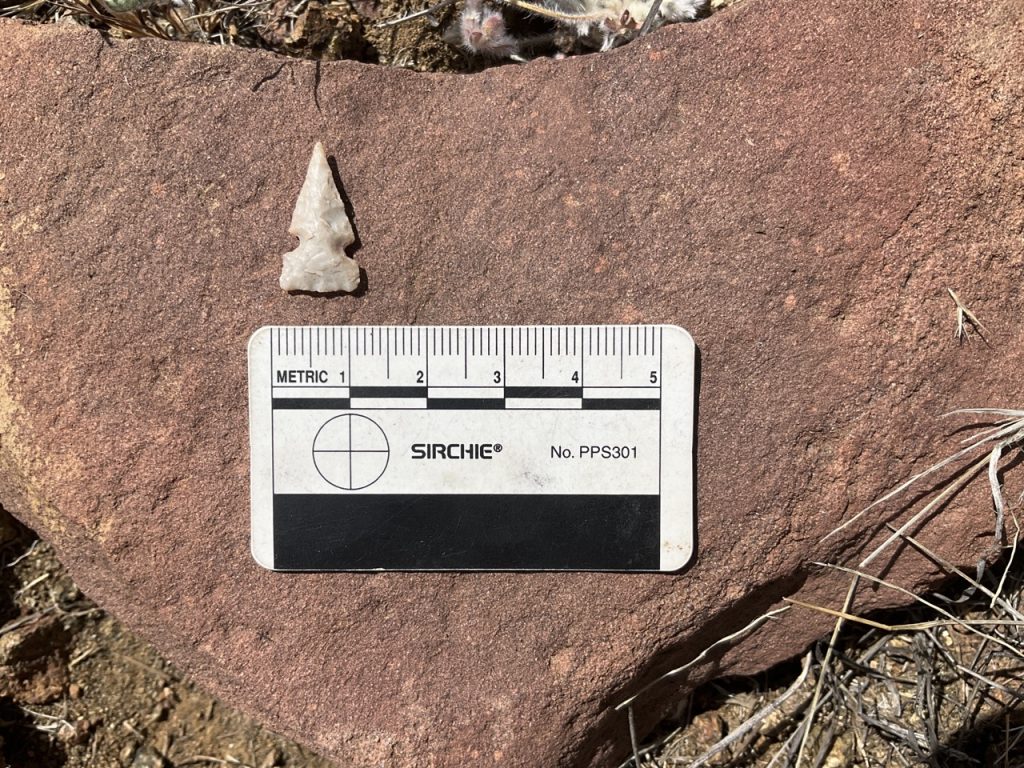 Projectile point