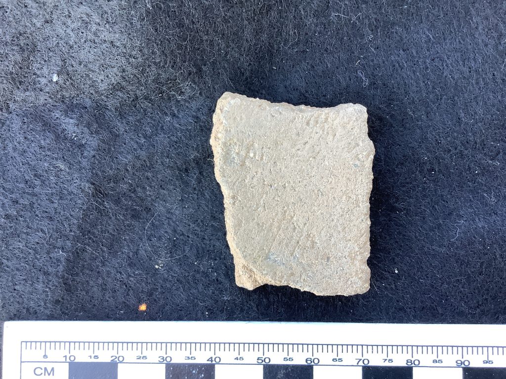 Plainware ceramic sherd with possible textile imprinting