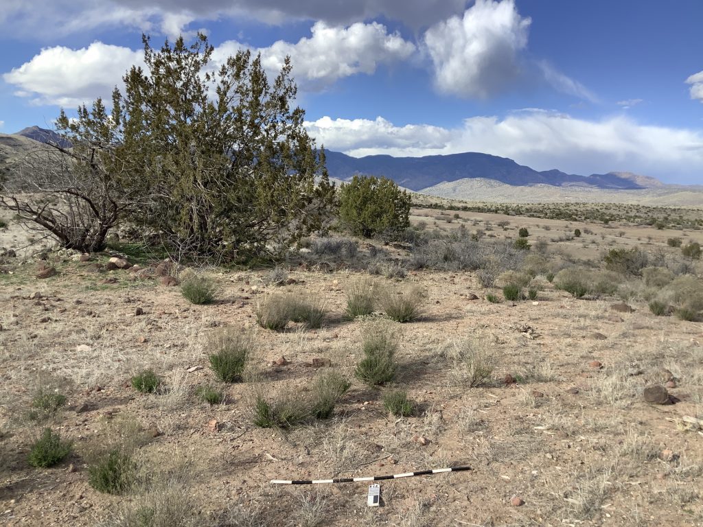 Site overview