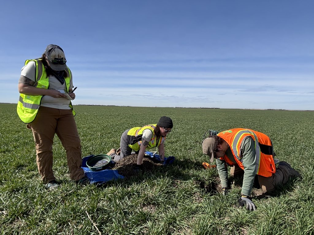 Arch Survey in Kansas