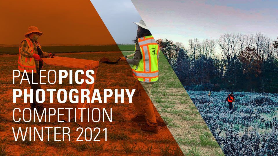 PaleoPics Photography Competition Winter 2021