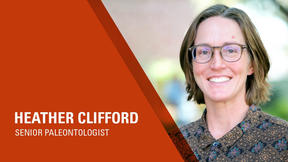 Heather Clifford - Senior Palaeontologist