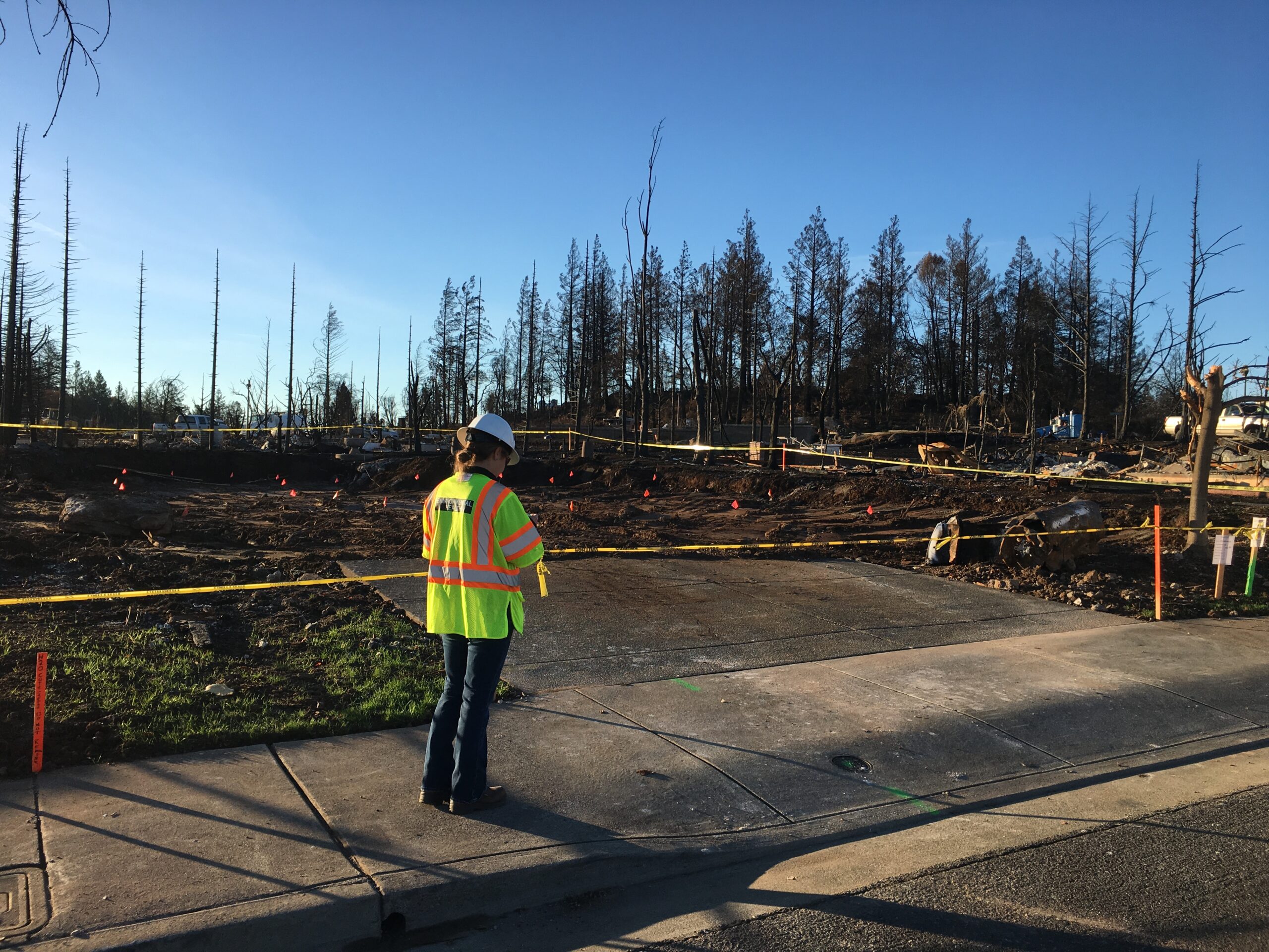 A field worker surveys fire damage in California.