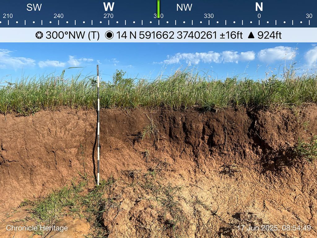 A cut bank profile shows a truncated A horizon overlying a bright orange subsoil horizon. Archaeologists use profiles like this to obtain a better understanding of the stratigraphy across a site. In this case, the profile shows that a significant amount of topsoil has been removed, probably as a result of a long history of cattle grazing in the area.