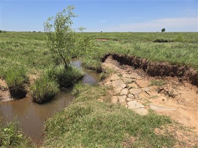 Soleil Solar Project, Clay County, Texas - A creek running through the site