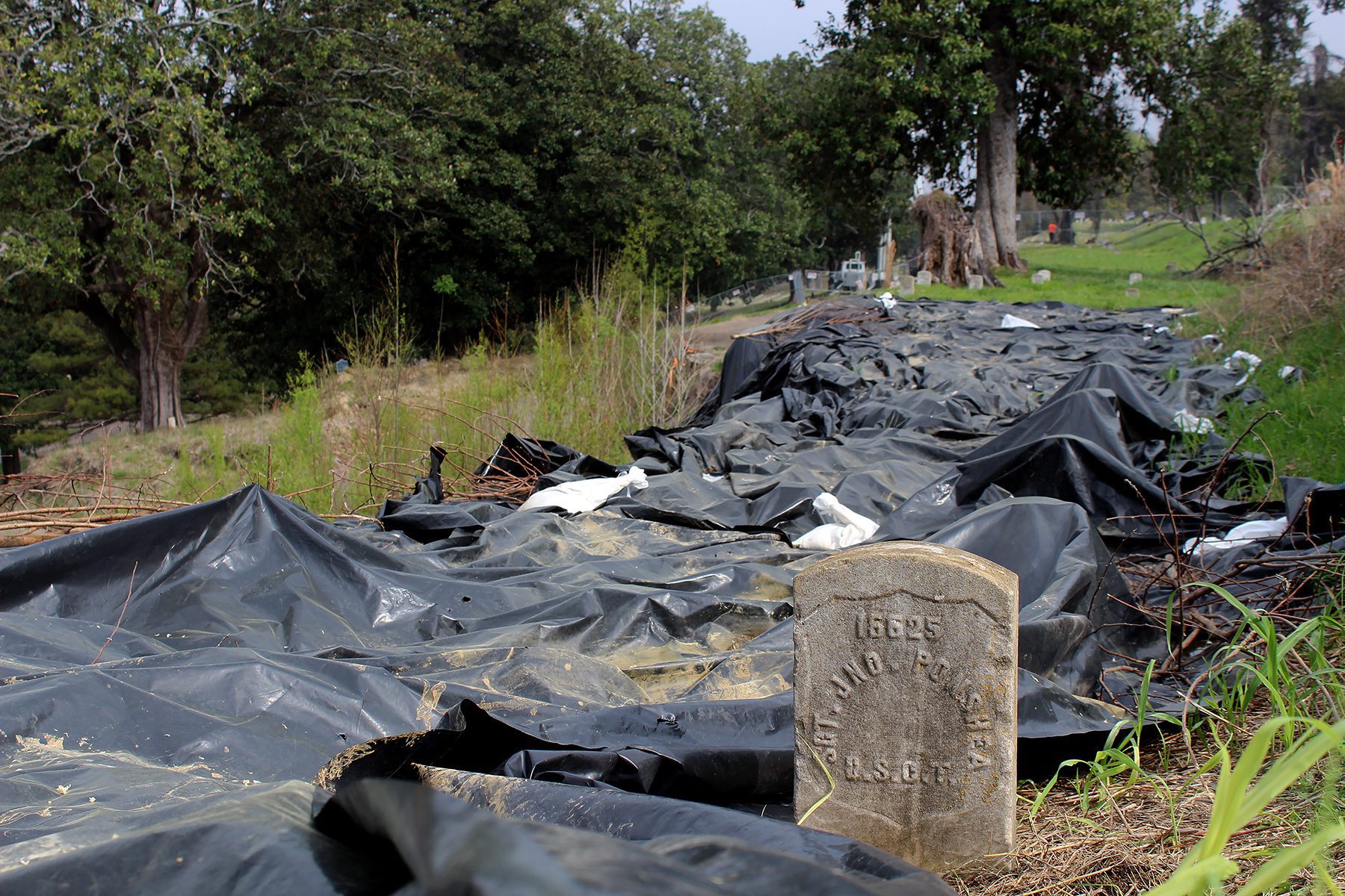 Looking north from the southern end of Burial Section T which was impacted by landslides in 2020 and 2021, showing plastic tarps used to protect the site prior to the start of excavations in April 2023. In the foreground is the grave marker for Sergeant John Ponshea, a United States Colored Troops (USCT) veteran of the Civil War who died in 1890. Section T of the Vicksburg National Cemetery damaged by the 2020 & 2021 landslides was originally designated to be for African Americans only.